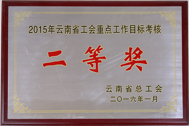 2015云南省總工會授予工投二等獎